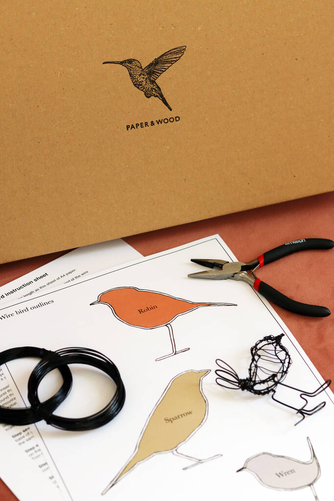 Digital And At Home Kit Create Wire Sculptures By The Indytute