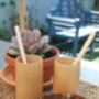 Pair Of Eco Friendly Bamboo Beakers With Straws, thumbnail 2 of 8