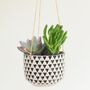 Hanging Geo Print Planter With Choices Of Succulents, thumbnail 2 of 3