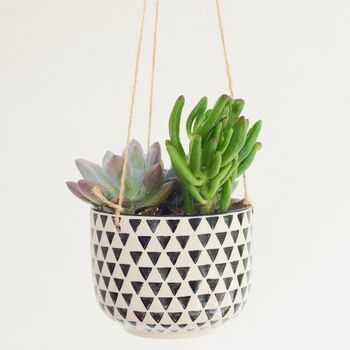 Hanging Geo Print Planter With Choices Of Succulents, 2 of 3