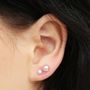 Sterling Silver Freshwater Pearl Earrings, thumbnail 1 of 10