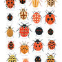 Ladybird Identification Art Print, thumbnail 7 of 8