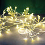 Warm Allium Starburst LED Fairy Lights, thumbnail 1 of 6