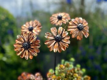 Set Of Three Or Five Copper Daisy Copper Garden Stakes, 4 of 10