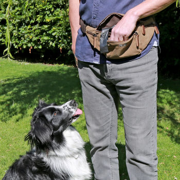 Personalised Dog Walking Belt Bag, 3 of 8