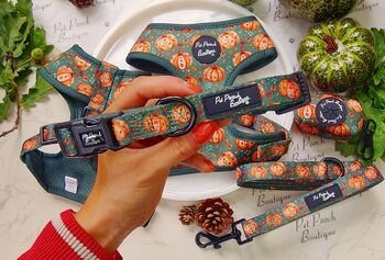 Harvest Pumpkin Patch Dog Collar, 5 of 7