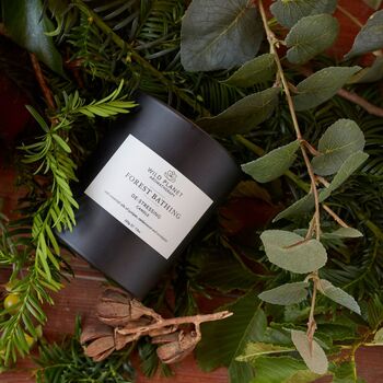 Forest Bathing Aromatherapy Vegan Candle, 7 of 12