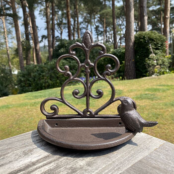 Venus And Conwy Cast Iron Wall Feeder Double Pack, 4 of 6