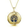 Personalised 18 K Gold Plated Tree Of Life Locket, thumbnail 10 of 12