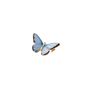 Fable Enamel Blue Butterfly Brooch, thumbnail 2 of 3