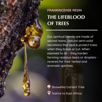 Frankincense Natural Mist, 4 of 7