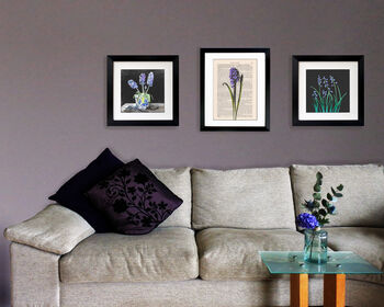 Three Hyacinths, Fine Art Print, 7 of 7