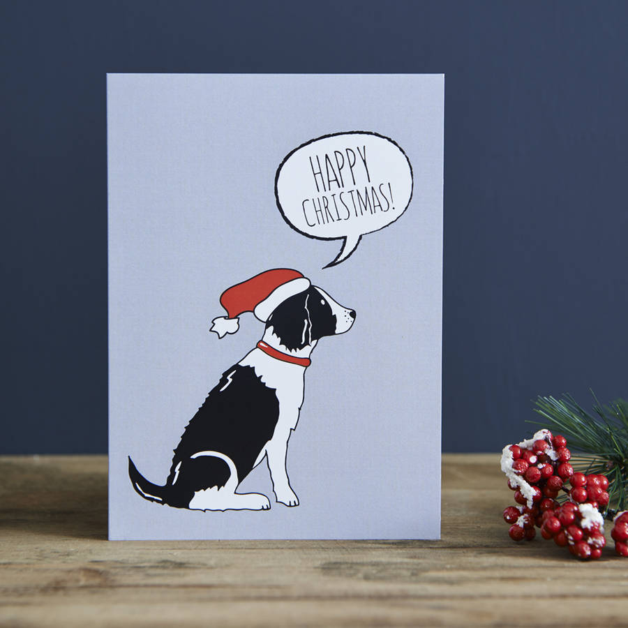 Pack Of Six Springer Spaniel Christmas Cards By Sweet William Designs ...
