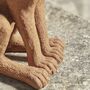 Rusty Hare, thumbnail 3 of 5