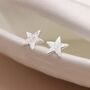 Sterling Silver Star Stud Earrings, thumbnail 4 of 8