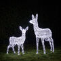 Swinsty Doe And Fawn Dual LED Plug In Light Up Reindeer, thumbnail 7 of 8