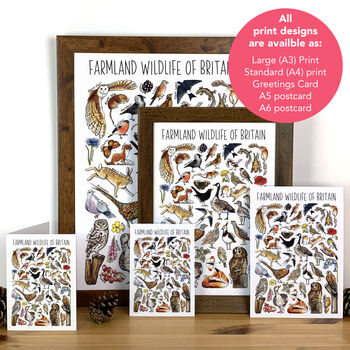 Farmland Wildlife Of Britain Greeting Card, 2 of 8