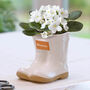 Personalised Welly Boot Garden Planter, thumbnail 1 of 10