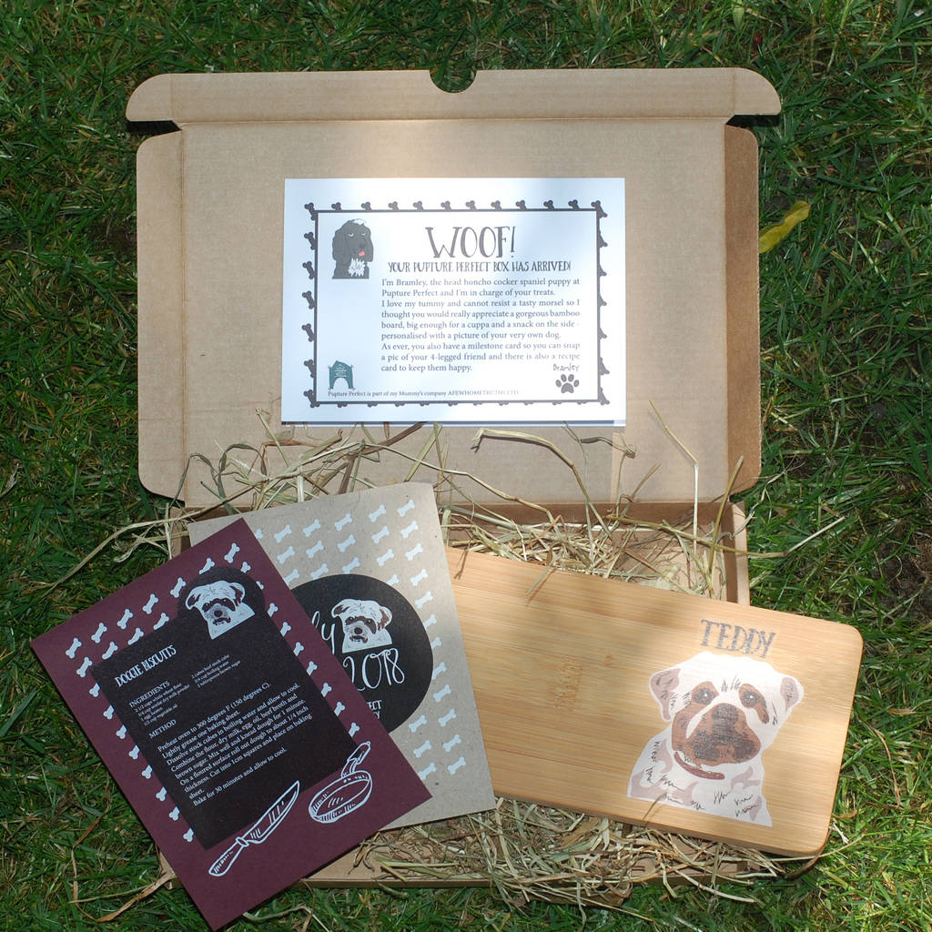 subscription boxes for dog lovers