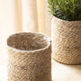 Pale Jute Plant Pot, thumbnail 2 of 4