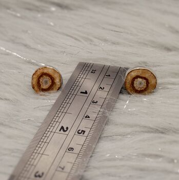 Sterling Silver Brown Agate Studs, 6 of 6