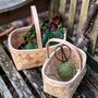 Natural Wood Weave Baskets Set Of Three, thumbnail 1 of 6