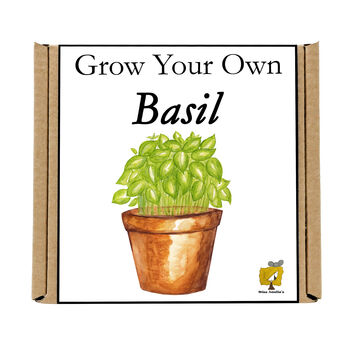 Gardening Gift. Grow Your Own Herbs. Basil Seeds Kit, 4 of 4