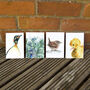 Inky Bird Luxury Postcard Set, thumbnail 1 of 12