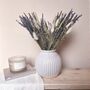 Natural Dried Lavender Arrangement With Vase, thumbnail 3 of 3