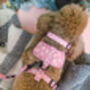 Dusky Pink Daisies Floral Dog Collar, thumbnail 5 of 8