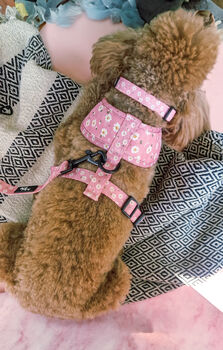 Dusky Pink Daisies Floral Dog Collar, 5 of 8