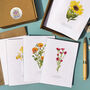 Set Of 10 Different Wildflower Notecards And Envelopes, thumbnail 7 of 7