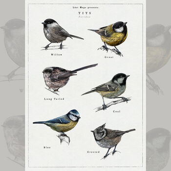 British Tits/Garden Birds Artwork Print, 9 of 9