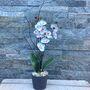 White And Pink Artificial Orchid Grey Pot Mothers Day Gift, thumbnail 3 of 5