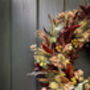 Dried Autumn Wreath With Chillies 'Hansel', thumbnail 6 of 11