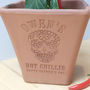 Engraved Mexican Skull Chilli Pot And Seeds, thumbnail 2 of 6