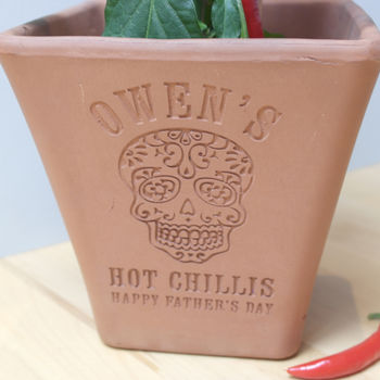 Engraved Mexican Skull Chilli Pot And Seeds, 2 of 6