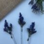 Dried Lavender Flower Hair Pins, thumbnail 8 of 8