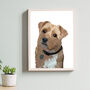 Custom Vibrant Personalised Pet Portrait Dog Cat, thumbnail 8 of 12