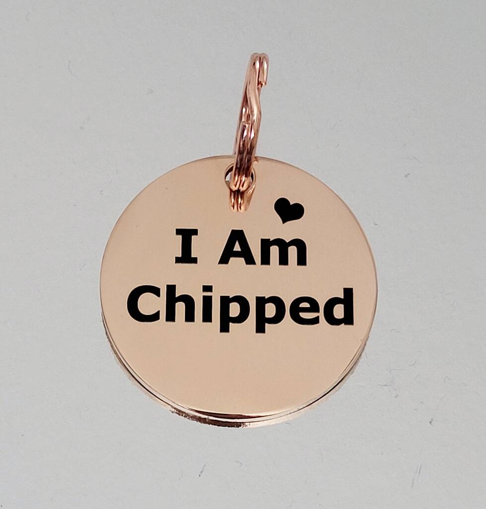 I Am Chipped Pet ID Tag, 1 of 5