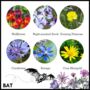 Bat Mix Wildflower Seeds Trick Or Treat Halloween Gift, thumbnail 9 of 10