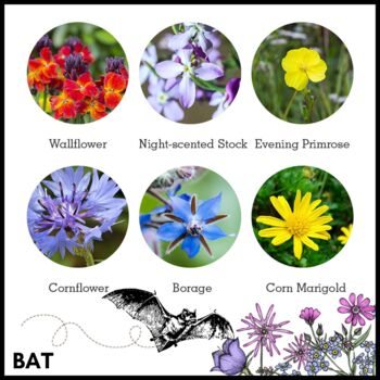 Bat Mix Wildflower Seeds Trick Or Treat Halloween Gift, 9 of 10