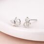 Sterling Silver Sitting Cat Stud Earrings – 8mm, thumbnail 3 of 7
