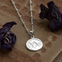 Sterling Silver Capricorn Star Sign Necklace, thumbnail 1 of 6