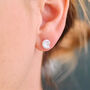 Sterling Silver Ammonite Shell Stud Earrings, thumbnail 1 of 6