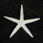 Starfish Pewter Brooch Gifts For Her, thumbnail 2 of 6