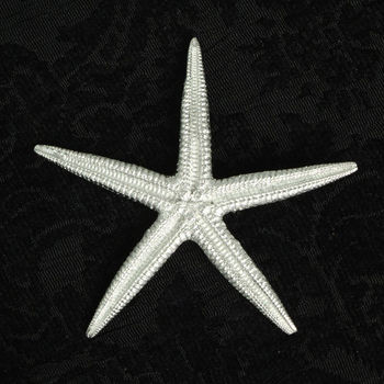 Starfish Pewter Brooch Gifts For Her, 2 of 6