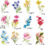 Personalised Birth Flower Scarf, thumbnail 5 of 10