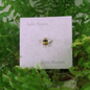 Bee Brooch, thumbnail 4 of 6