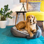 Geometric Comfort Dog Sofa Bed Large, thumbnail 5 of 6